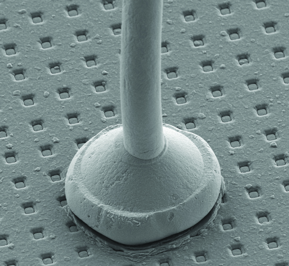 integra-cu-wire-evaluation