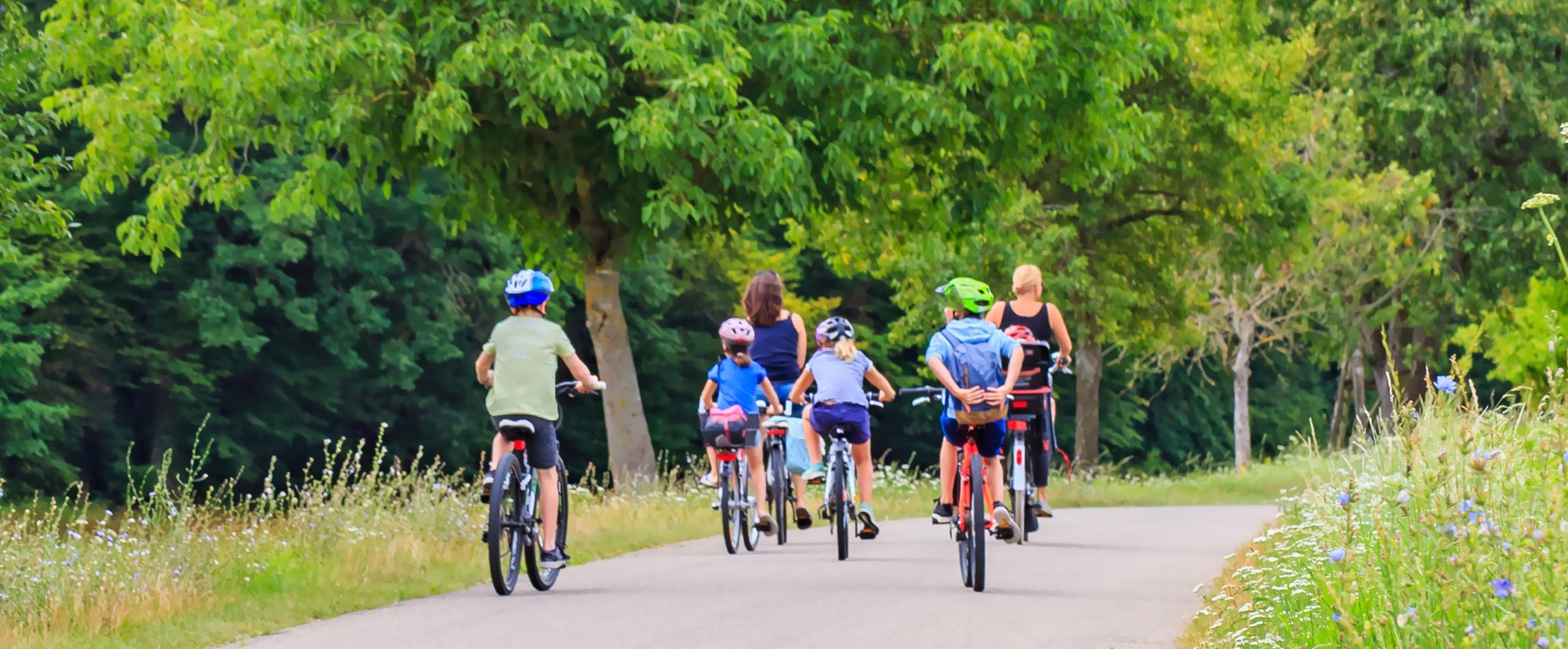 wichita-wellness wichita-wellness